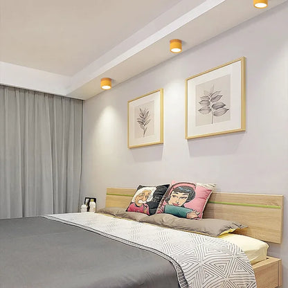 ScandiShine - Minimalist LED Ceiling Light