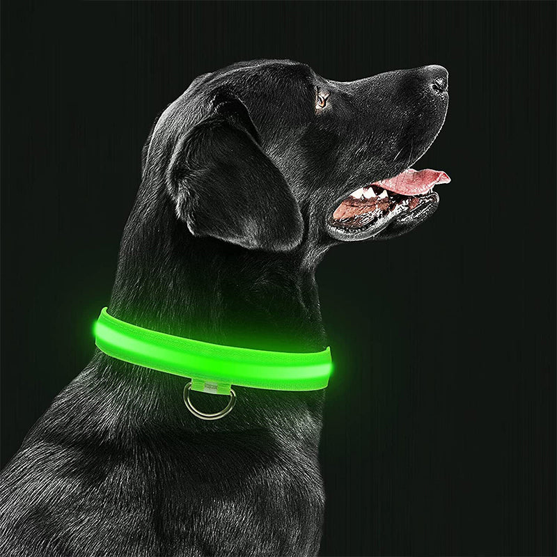 Luminous Pet Collar with LED Light – Rechargeable, Water-Resistant, Adjustable Fit for Enhanced Nighttime Safety-2