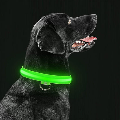 Luminous Pet Collar with LED Light – Rechargeable, Water-Resistant, Adjustable Fit for Enhanced Nighttime Safety-2