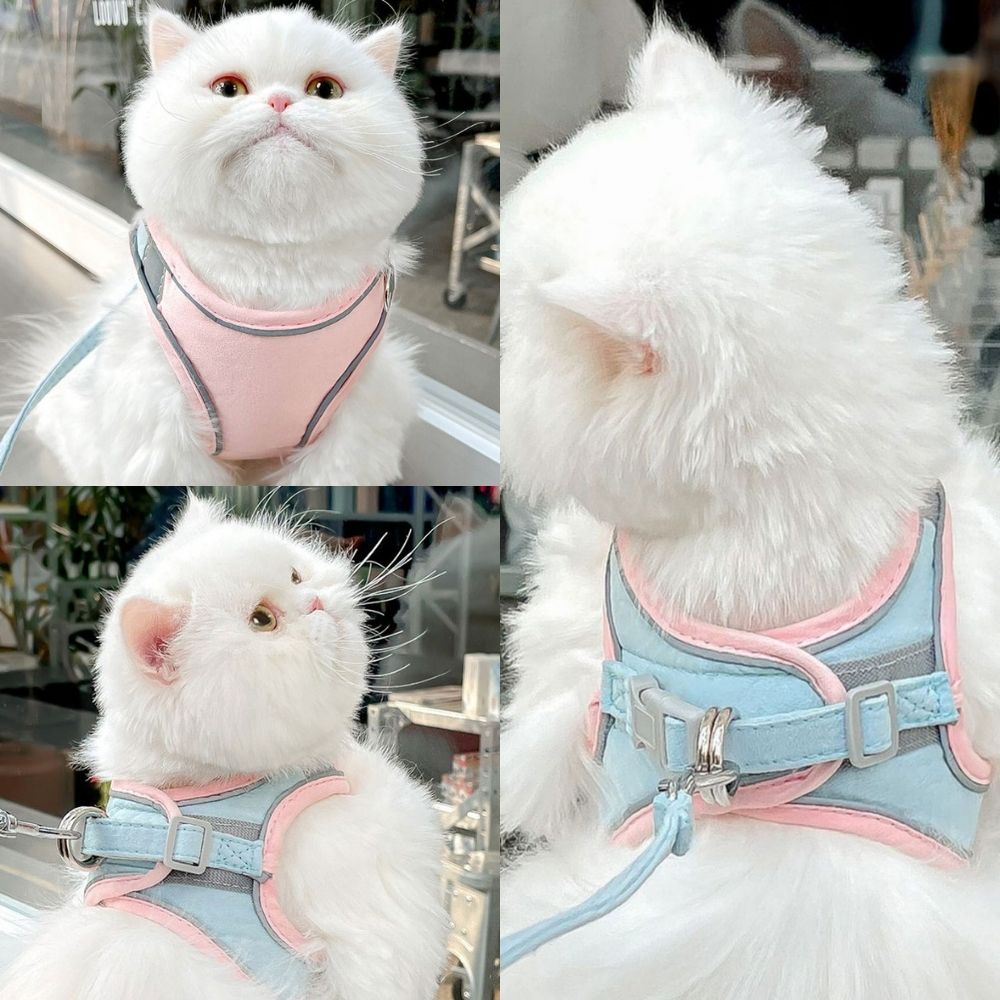 Escape-Proof Cat Harness and Leash Set – Adjustable, Comfortable, Breathable Fabric for Safe Outdoor Adventures-4