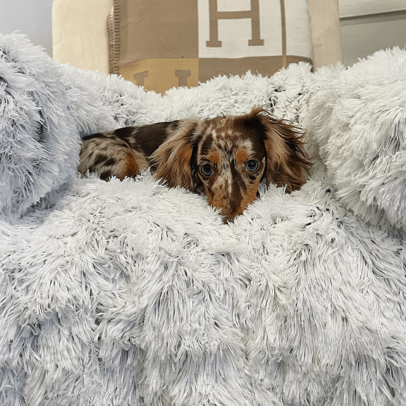 Water-Repellent Dog Bed Protector with Soft Vegan Fur – Non-Slip, Comfortable, Suitable for All Dog Sizes-2