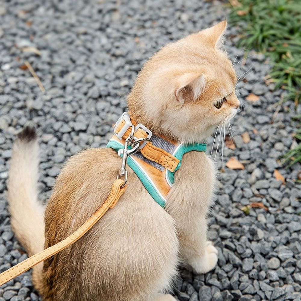 Escape-Proof Cat Harness and Leash Set – Adjustable, Comfortable, Breathable Fabric for Safe Outdoor Adventures-2