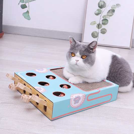 3-in-1 Interactive Cat Playground with Scratching Post, Eco-Friendly Cardboard Design, Space-Saving Toy for Active Play-1