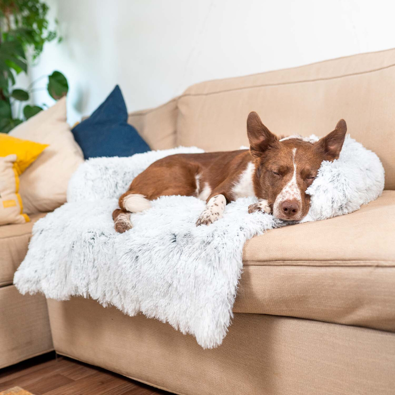 Water-Repellent Dog Bed Protector with Soft Vegan Fur – Non-Slip, Comfortable, Suitable for All Dog Sizes-3