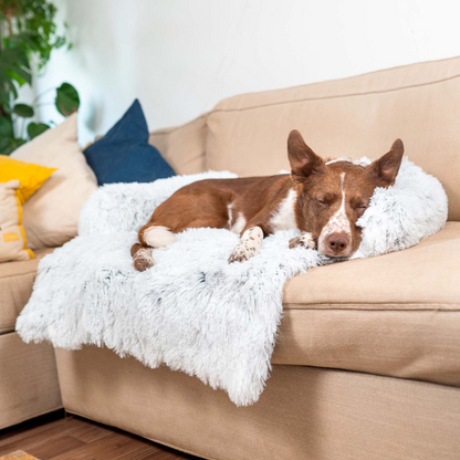 Water-Repellent Dog Bed Protector with Soft Vegan Fur – Non-Slip, Comfortable, Suitable for All Dog Sizes-3