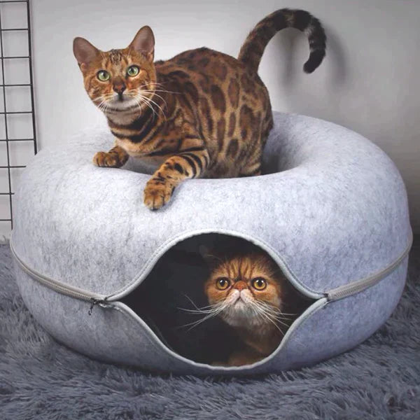 Cozy Donut Cat Bed – Plush Material, Anti-Slip Base, 20-Inch Diameter, Ideal for Relaxation and Play-2