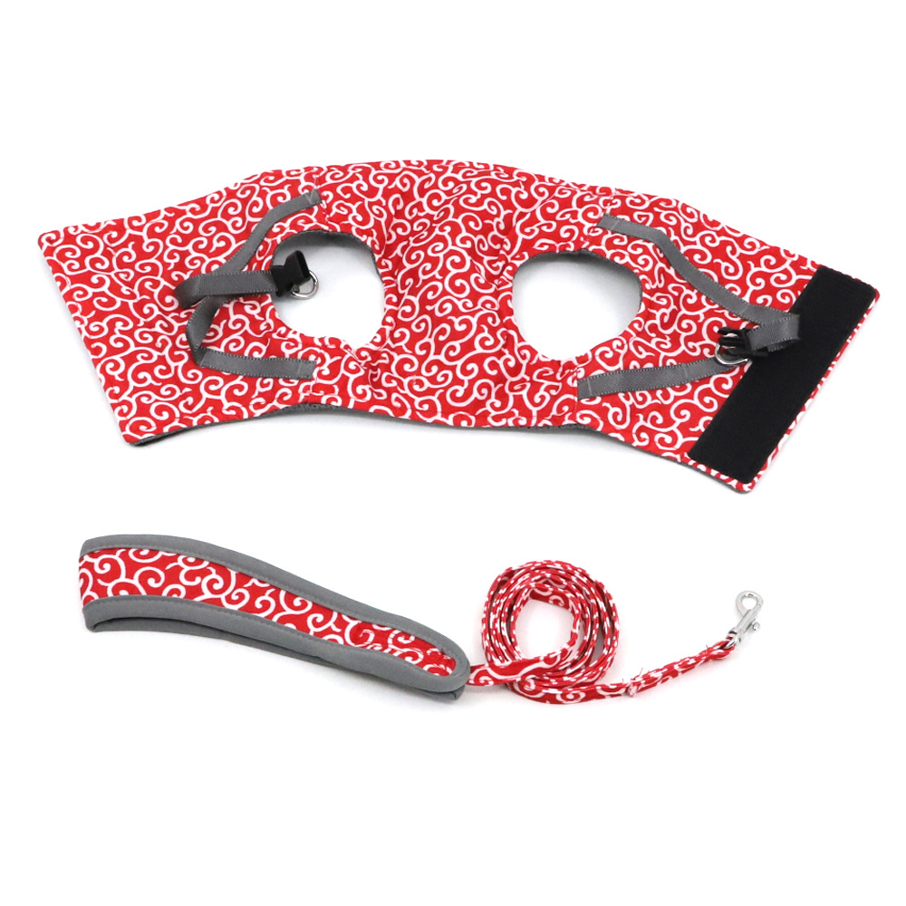 Stylish Cat Harness with Matching Leash - Comfortable and Easy to Wear, Adjustable Fit for Cats and Kittens-5