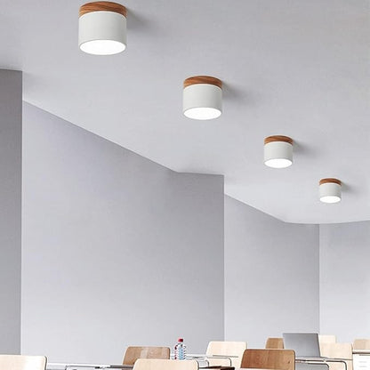 ScandiShine - Minimalist LED Ceiling Light
