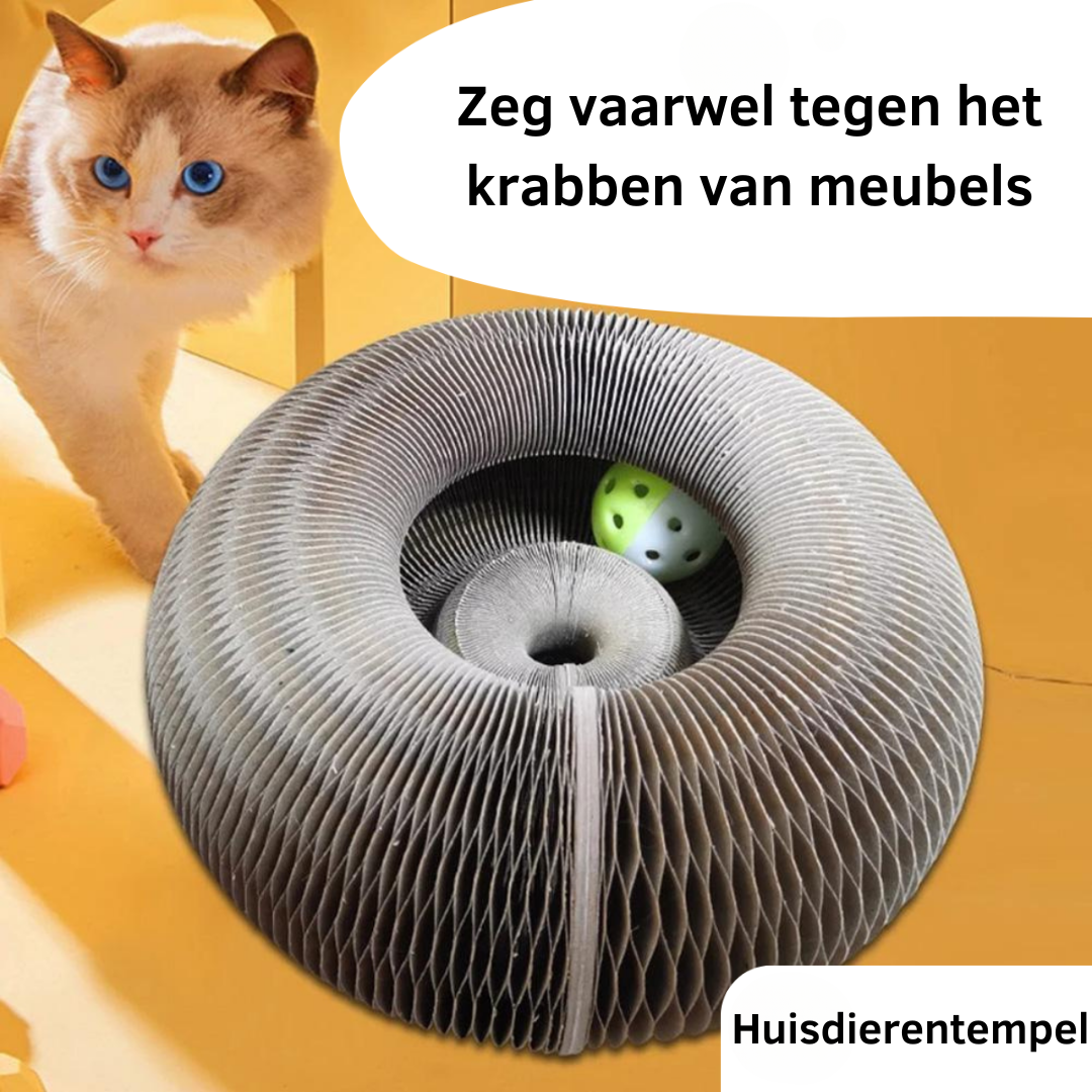 Interactive Cat Toy - Adjustable Lola Crab for Stress Relief & Durable Playtime with Free Playball - Engaging Scratching Solution-4