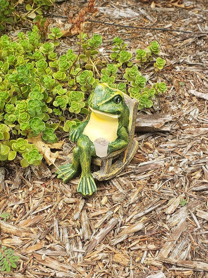 FrogShine - Sculpture d'éclairage solaire de jardin