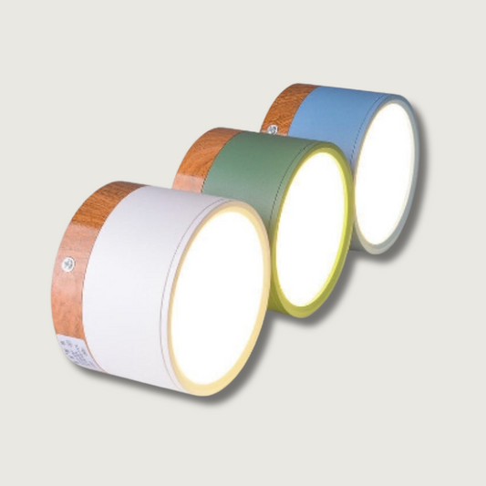 BeamLuxe – Energy-Efficient LED Ceiling Spot in Modern Style