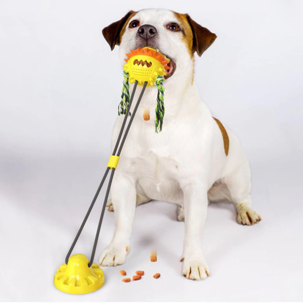 Interactive Self-Playing Pet Toy - Durable Dog Toy with Chew Bars and Rolling Balls for All Sizes, Promotes Dental Health-6