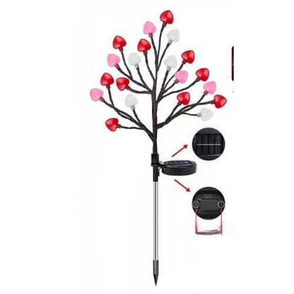 Solar Wild Fennel Lights - 6-Pack Solar Garden Lights with 15 Warm White LEDs