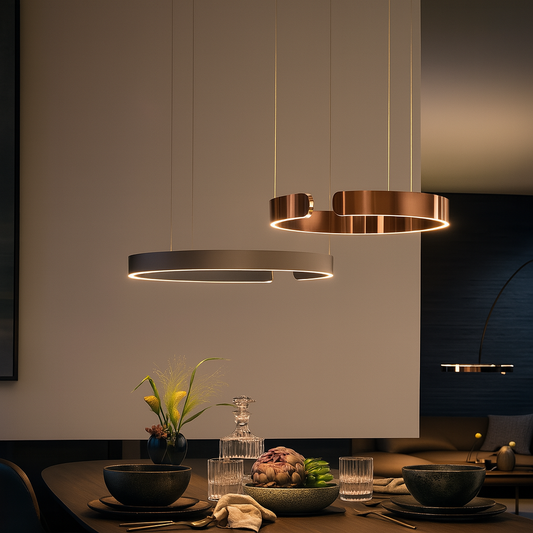 Aesthetics Ring Pendant Lamp 0
