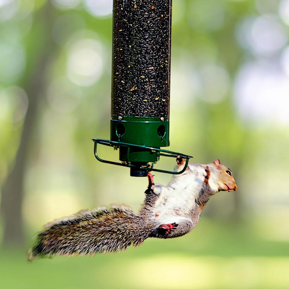 AviaryGuard | Innovative Squirrel-Proof Metal Birdhouse Design 0