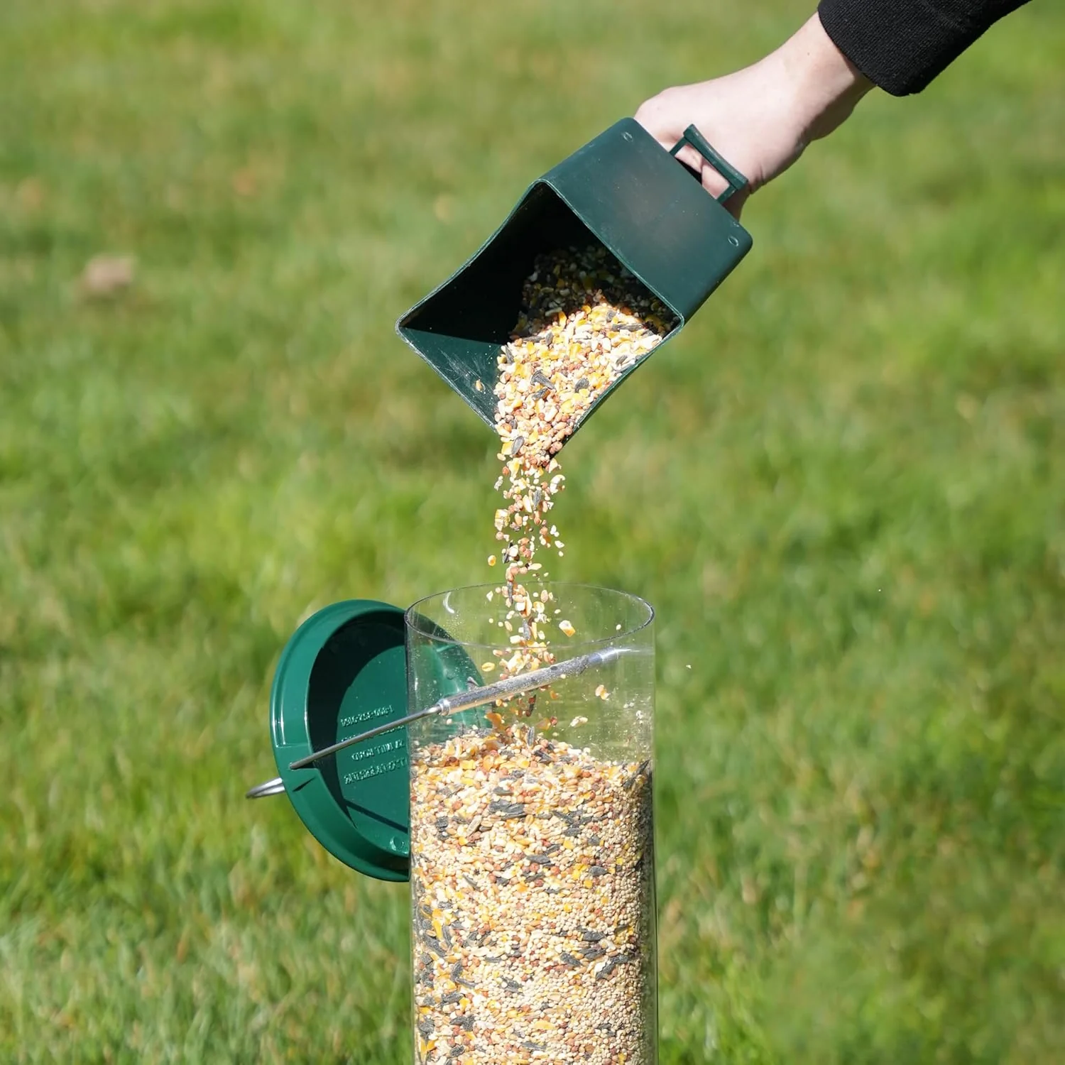 Bird Feeder | Squirrel-Proof Hanging Seed Feeder Outdoor 3