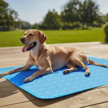 Cooling Mat for Dogs 2