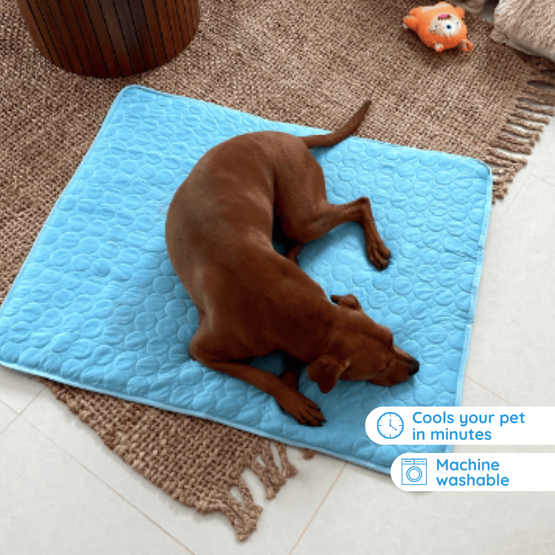 Cooling Mat for Dogs 3