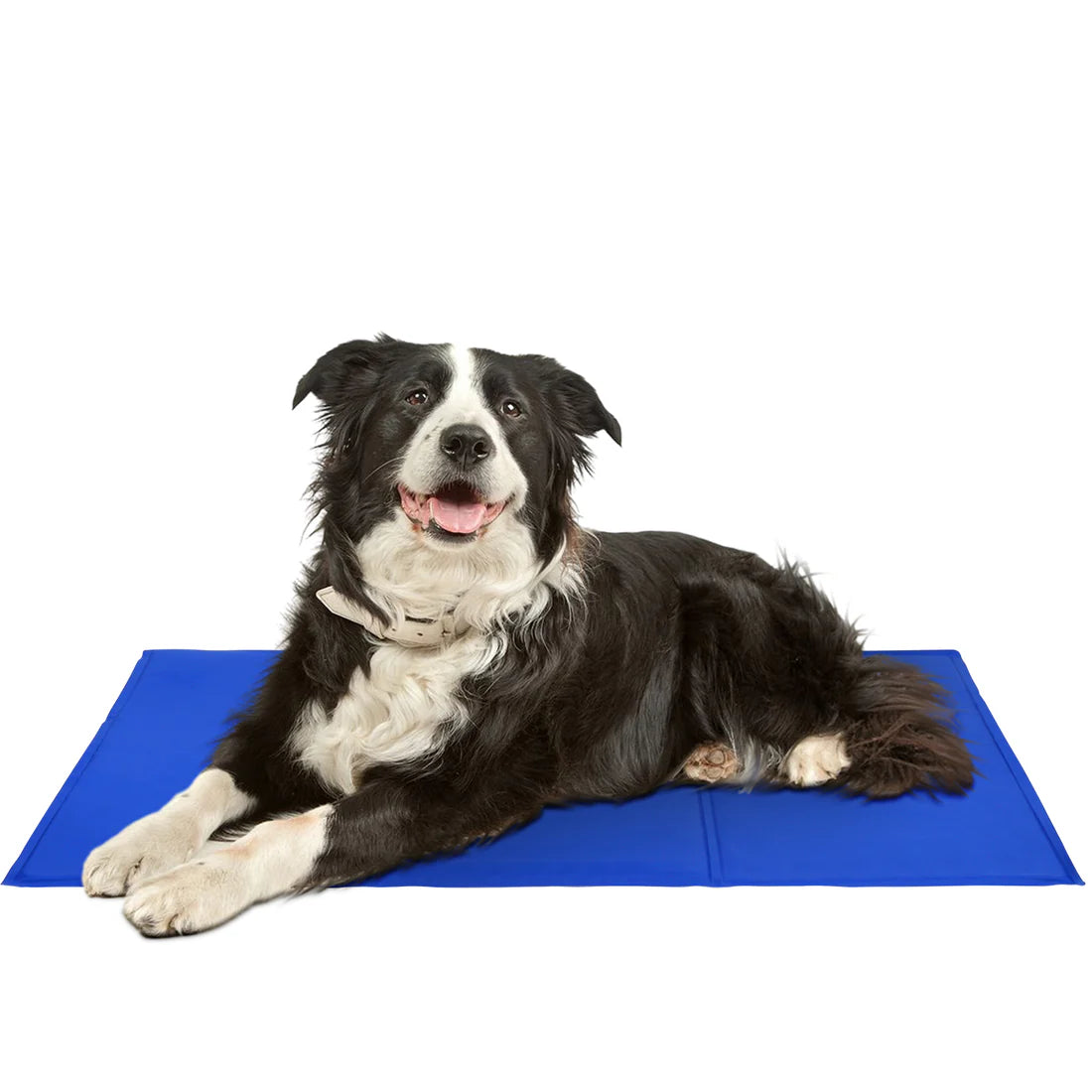 Cooling Mats for Pets 1