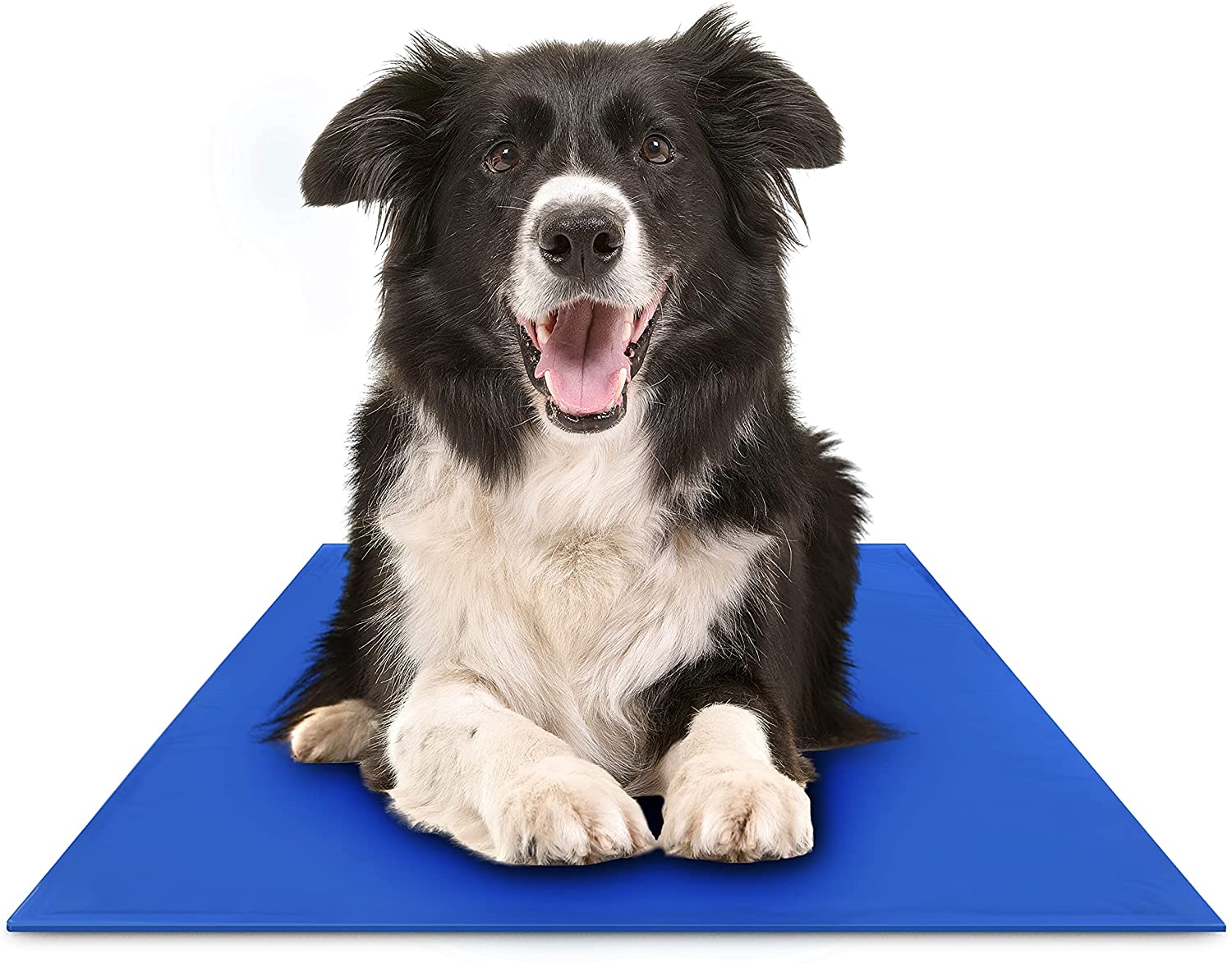 Cooling Mats for Pets 2