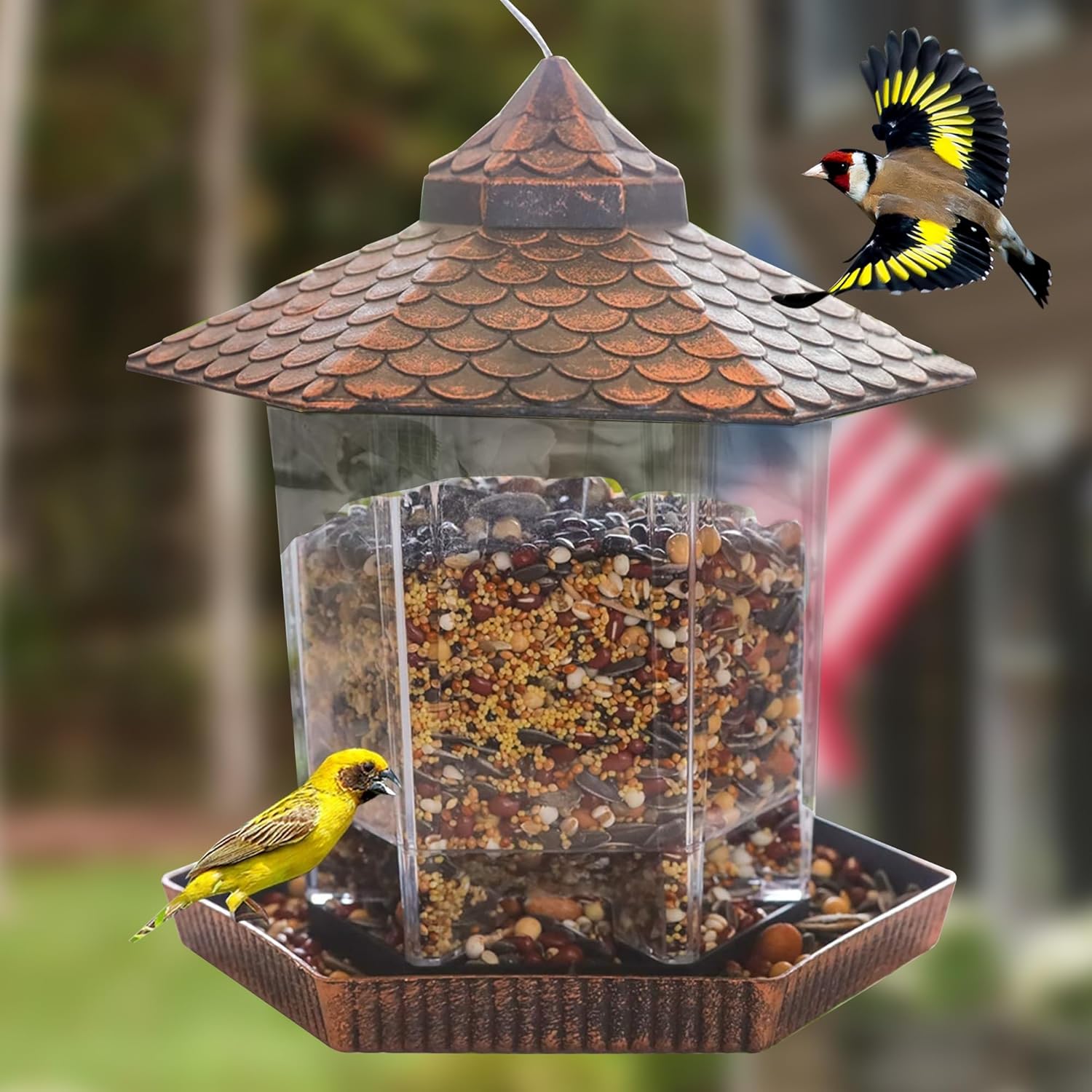 CopperNest | Elegant Durable Hanging Bird Feeder with Clear Seed Container 0