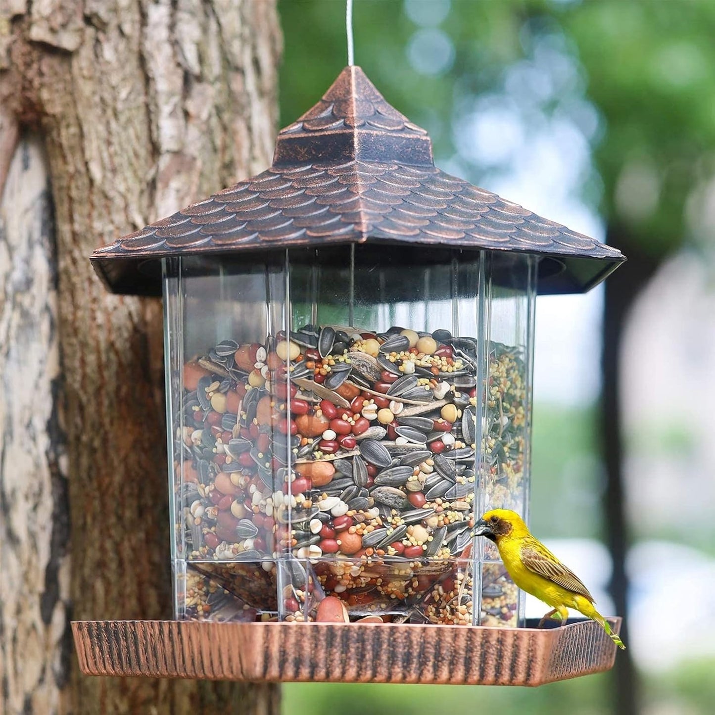 CopperNest | Elegant Durable Hanging Bird Feeder with Clear Seed Container 1