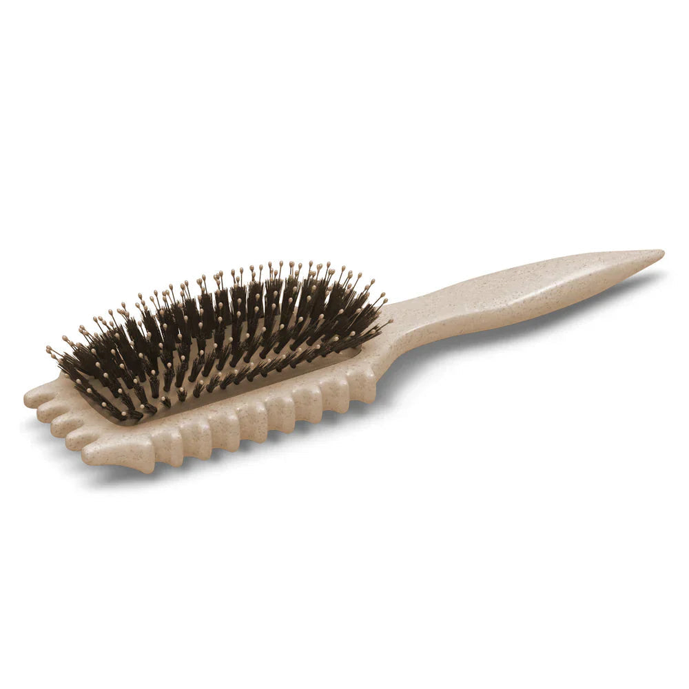 CurlHaven | Best Detangling Brush for Effortless Curl Definition 4