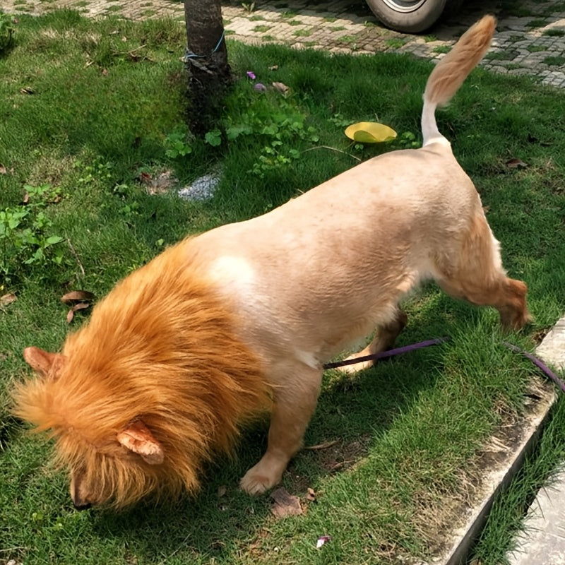 Dog Realistic Lion Mane Halloween Costume | Adjustable Lightweight 1