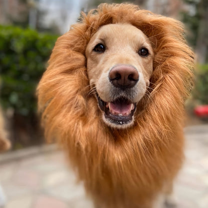 Dog Realistic Lion Mane Halloween Costume | Adjustable Lightweight 2