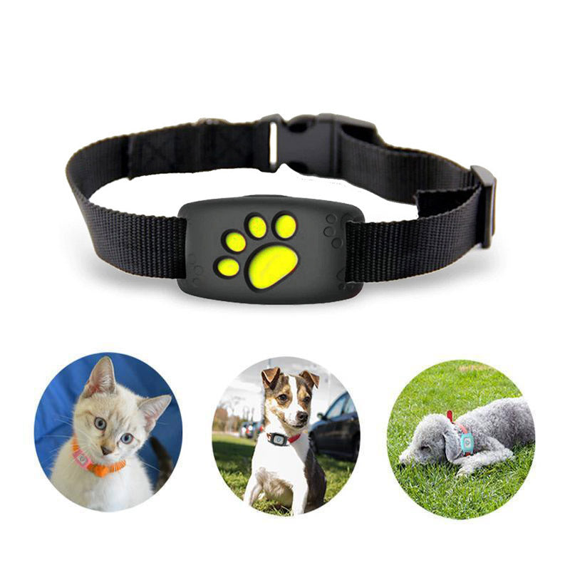 FelineGuard | Reliable Waterproof GPS Cat Tracker Collar for Pet Safety 4