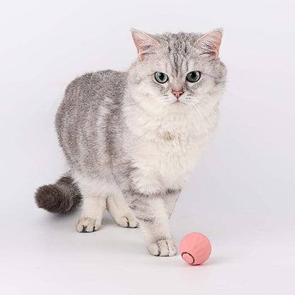 FelineMotion | Engaging Interactive Self-Rolling Cat Toy 2