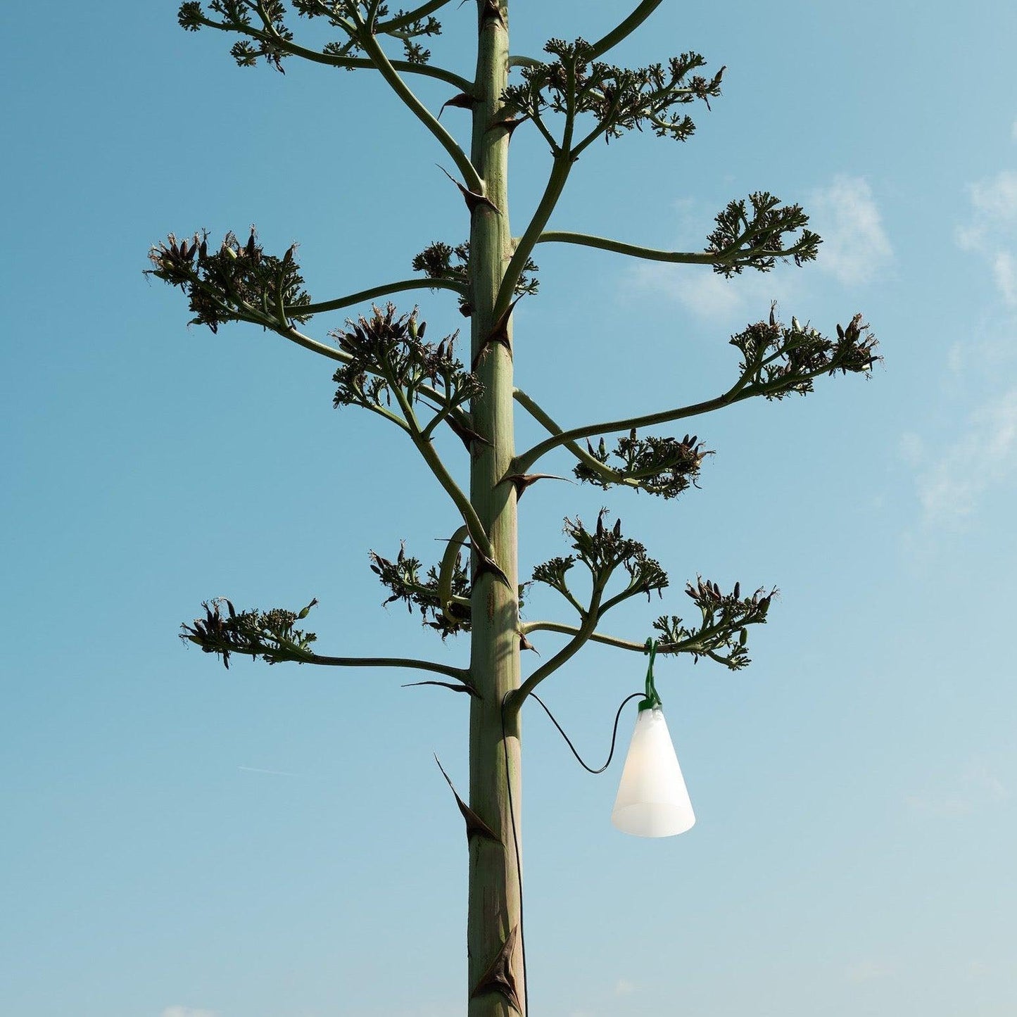 Ecoglow - Lightweight Outdoor Lamp with Handle for Camping & Garden Lights-6