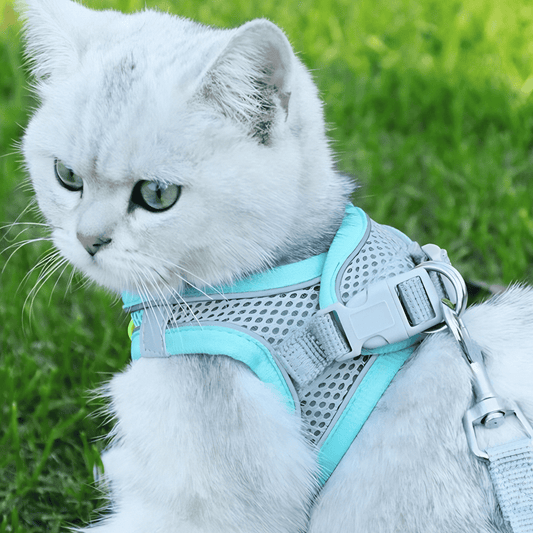 Adjustable Cat Shirt – Breathable Mesh Safety Design for Outdoor Adventures, Escape-Resistant and Fully Adjustable Fit-1