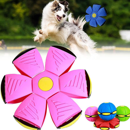 BreezeBounce - Palla Fluttuante Dinamica per Gioco in Stile Frisbee e Intrattenimento per Animali Domestici