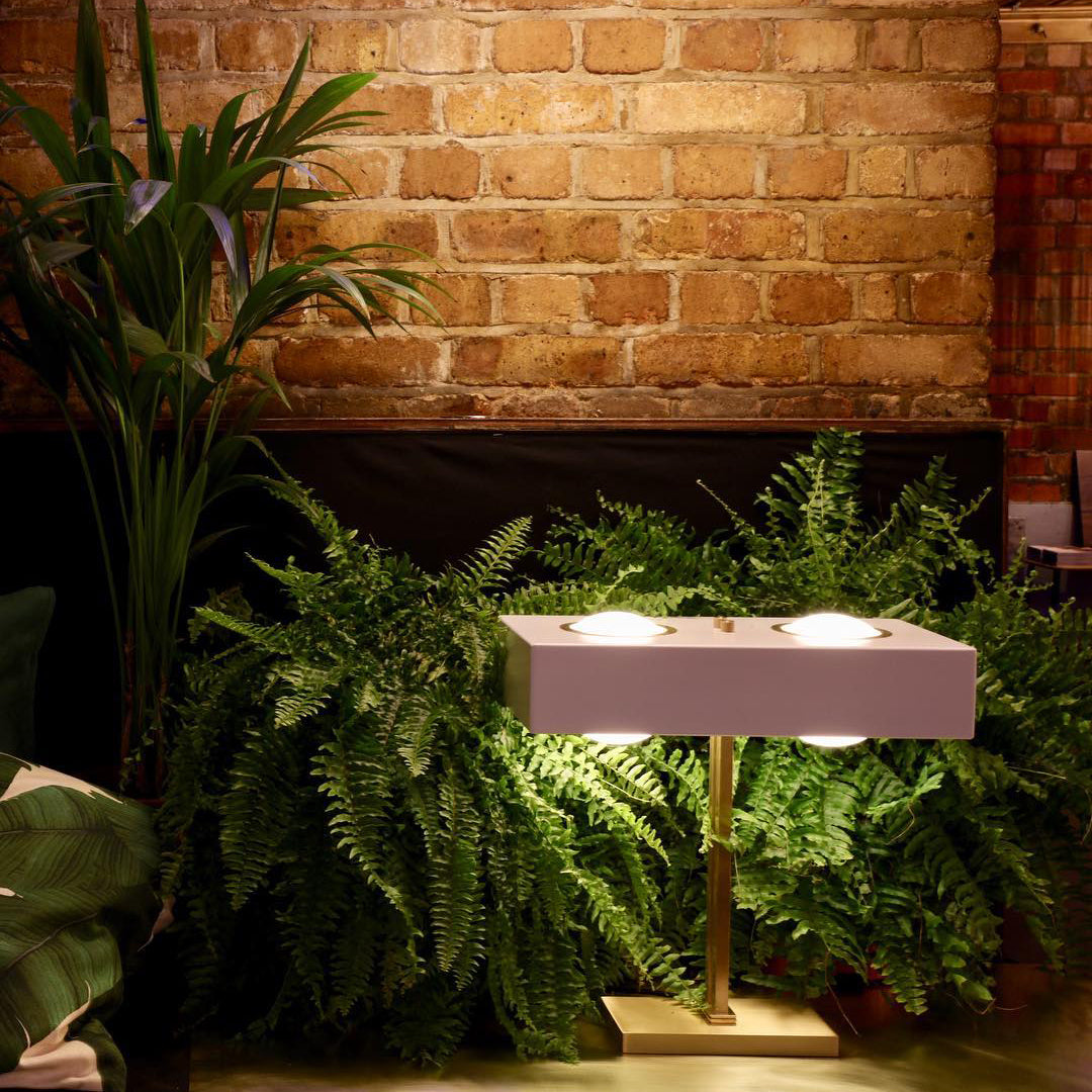 OrganicLuxe - Stylish Lamp with Natural Design and Gentle Glow