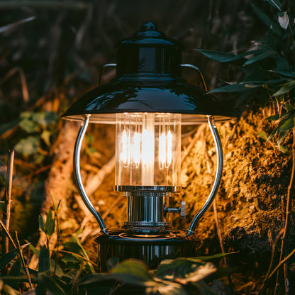 VividRadiance - Lampe de jardin