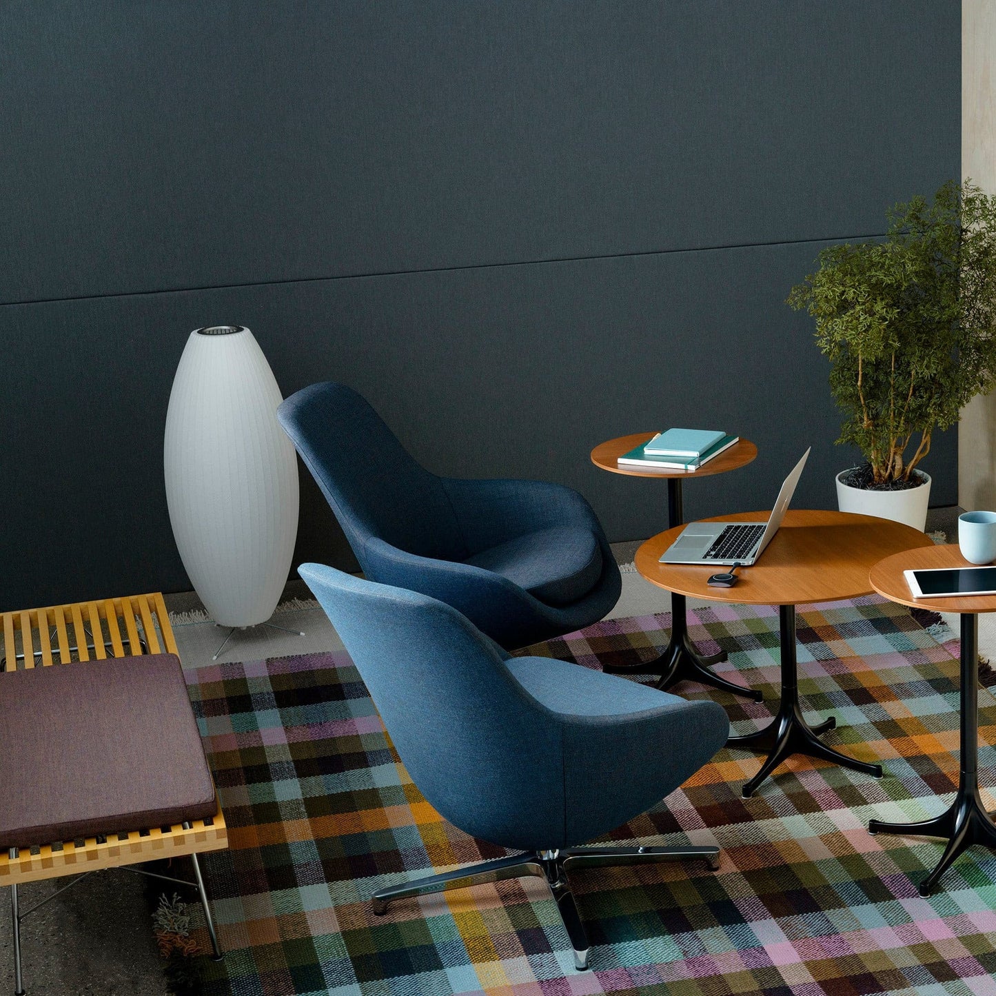 TripodAura - Éclairage Nelson