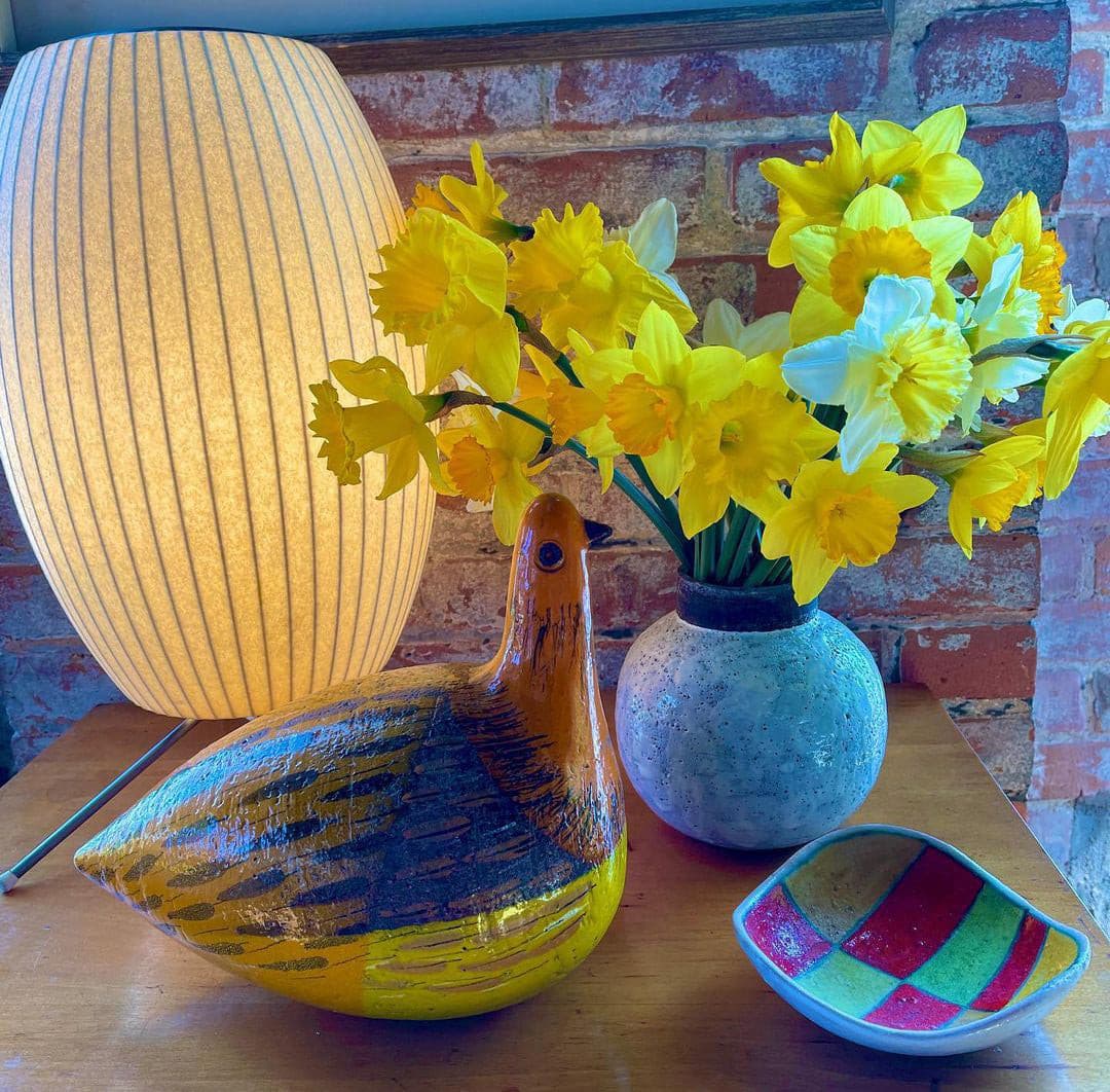 TripodAura - Éclairage Nelson