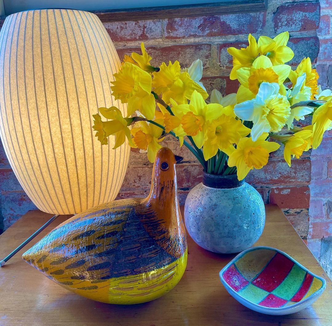 TripodAura - Éclairage Nelson