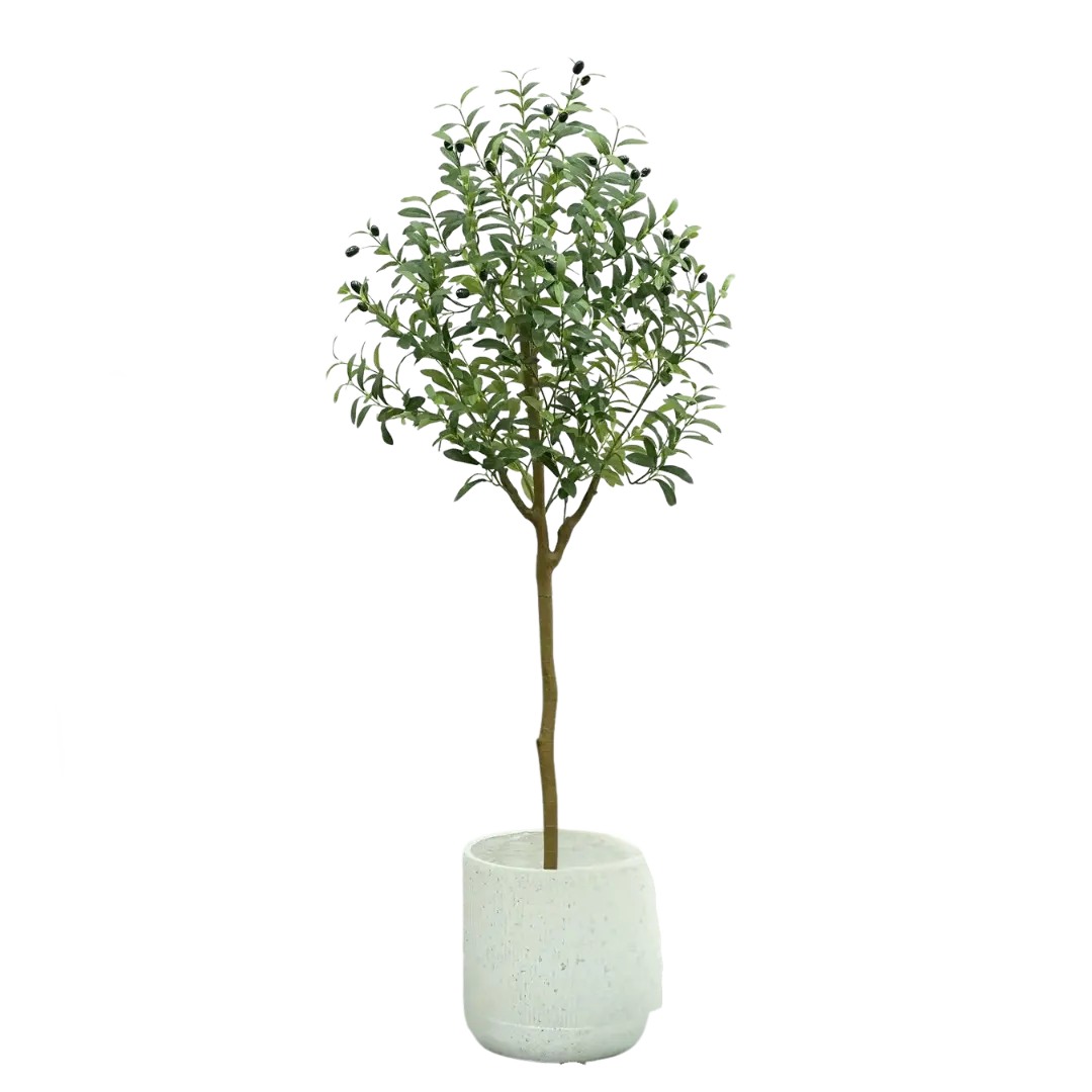 OlivaLeaf - Realistyczna Dekoracja Drzewa Oliwnego