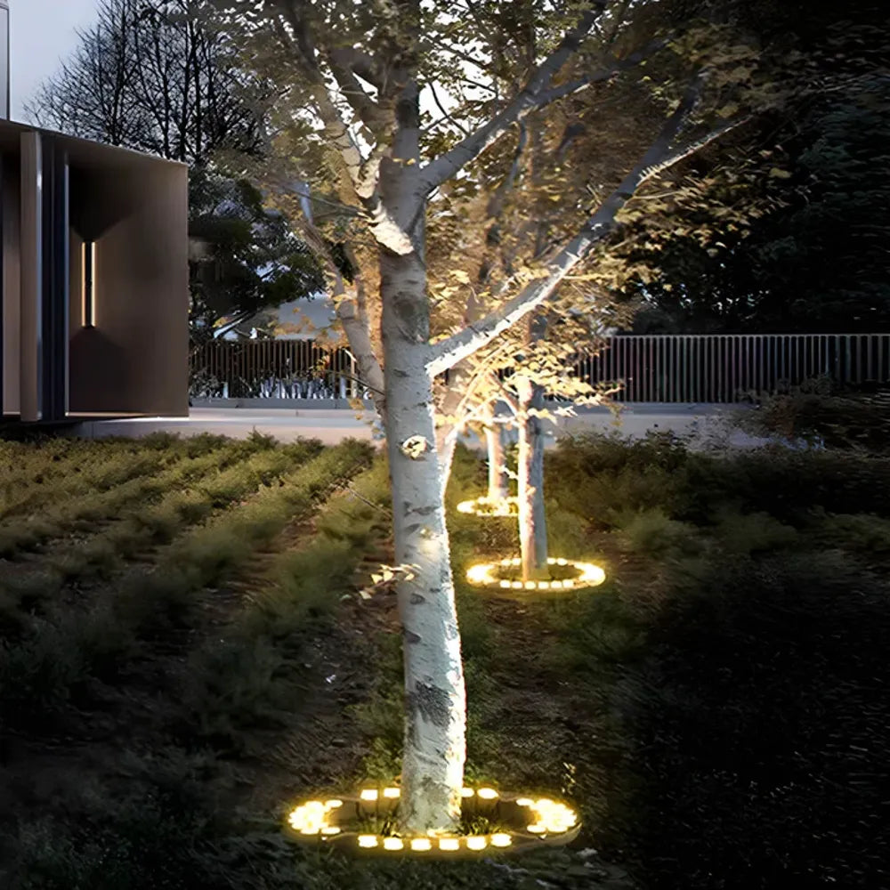 Outdoor spotlight for tree 2