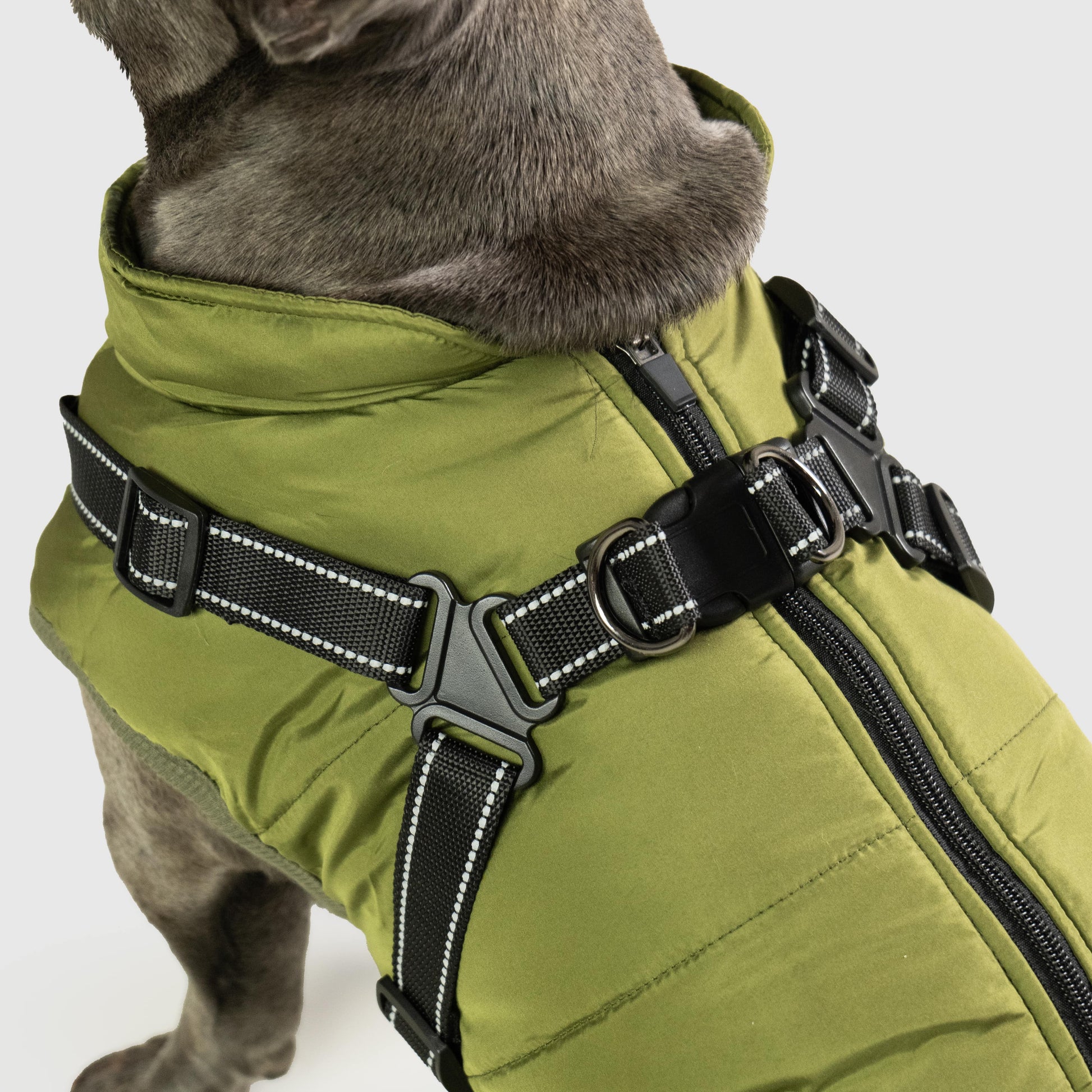 Waterproof Dog Coat with Built-in Harness – Warm, Weather-Resistant Dog Jacket for All Breeds-6