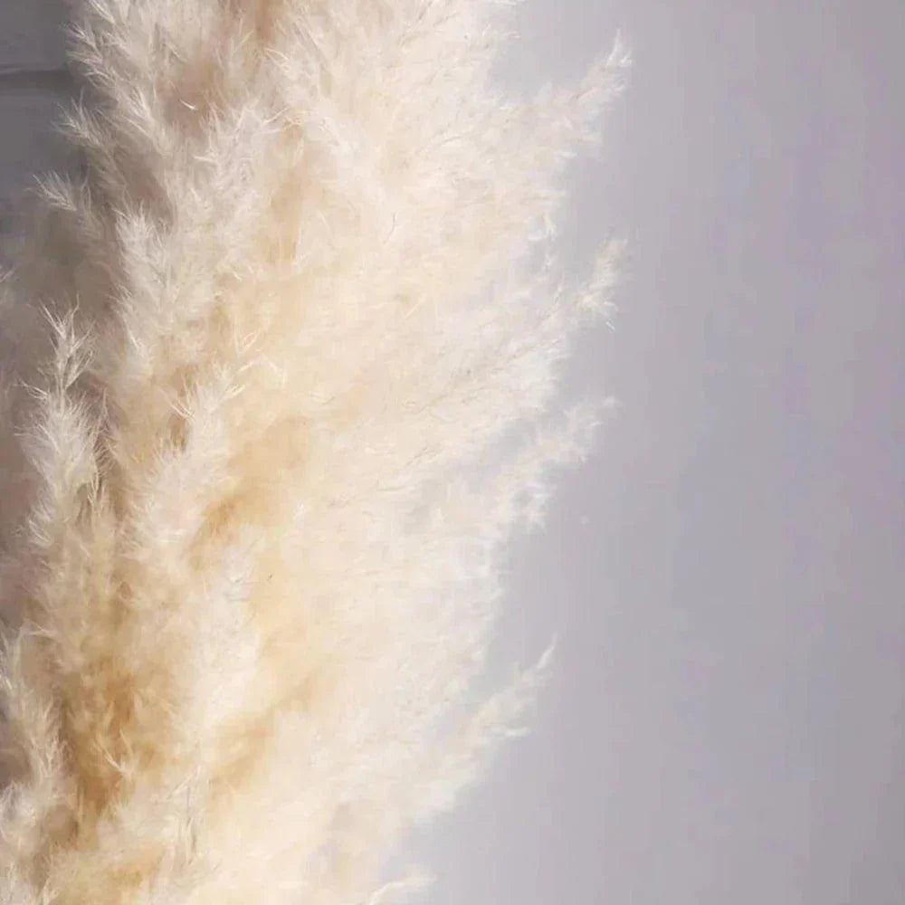 PampasElegance | Stylish Natural Dried Flower Bouquet for Home Décor 3