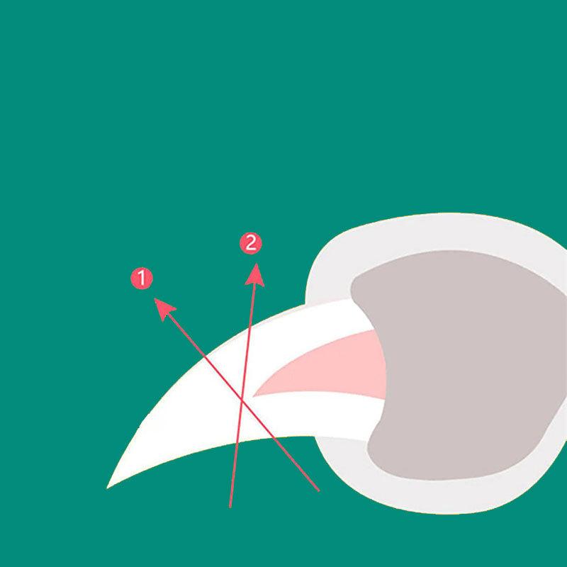 PawCraft | Ergonomic Safe Dog Nail Clipper with Quick Sensor Technology 2