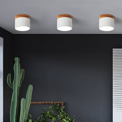 DirectLuxe - Loftspotlight med minimalistisk stil og præcis belysning