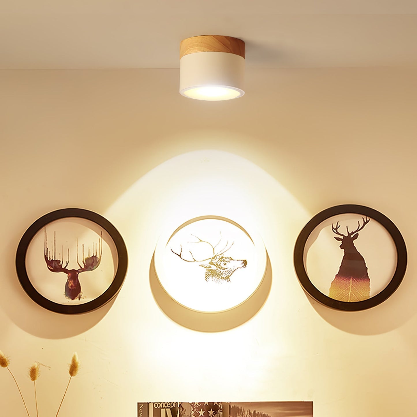 DirectLuxe - Loftspotlight med minimalistisk stil og præcis belysning