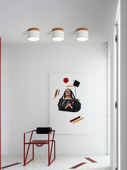 DirectLuxe - Loftspotlight med minimalistisk stil og præcis belysning