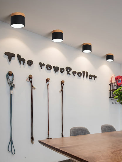 DirectLuxe - Loftspotlight med minimalistisk stil og præcis belysning