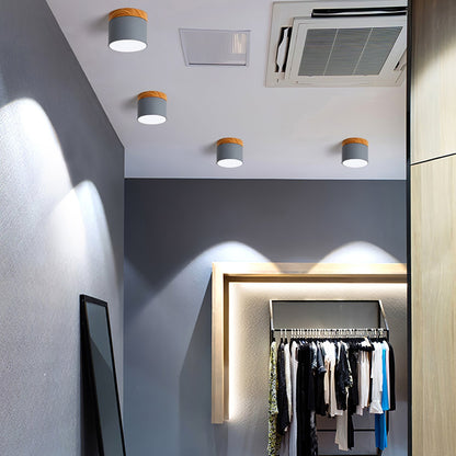 DirectLuxe - Loftspotlight med minimalistisk stil og præcis belysning