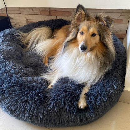 PlushHaven | Cozy Orthopedic Large Dog Bed with Washable Cover 7